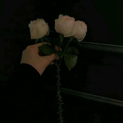 博喜体育官网下载